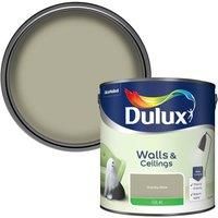 Dulux 5293130 Walls & Ceilings Silk Emulsion Paint, Overtly Olive