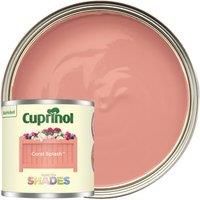 Cuprinol Garden Shades Paint - Furniture Sheds Fences - 125ml, 1L, 2.5L & 5L