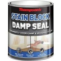 Thompsons 250ml White Stain Blocking Damp Seal Paint Covers & Prevents Stains