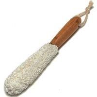 Addis Bamboo Eva Glass Cleaner
