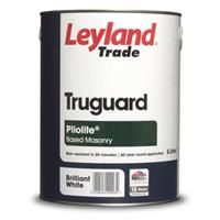 5LTR - TRUGUARD PLIOLITE BASED MASONRY PAINT BRILLIANT WHITE