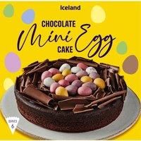 Iceland Mini Chocolate Eggs Cake 450g