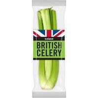 Iceland British Celery