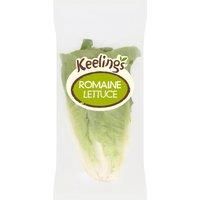 Iceland British Romaine Lettuce
