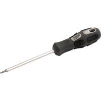 Draper TX-STAR£ Driver, T6 x 75mm Long