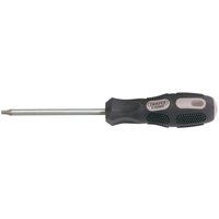 Draper 40053 Expert Tx-Star T25 Screwdriver, 100mm