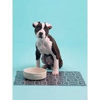 Mason Cash Colourmix Set Of 2 Cream Dog Bowls &Placemat