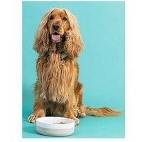 Mason Cash Hearts Paw Small Pet Bowl, 13cm Diameter, 250ml Capacity Ideal for Cats, Puppies & Small Dogs, Durable Stoneware, Dishwasher & Freezer Safe