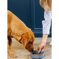 Mason Cash Reactive Paw Large Dog Bowl, 18cm Diameter, 950ml Capacity Ideal for Medium to Large Dogs, Durable Stoneware, Dishwasher & Freezer Safe