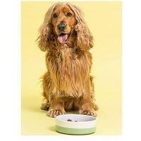 Mason Cash Colour 18 x 6cm Bone Pet Bowl