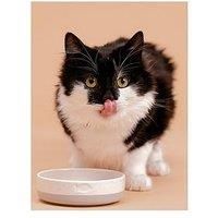 Mason Cash Colour 13 x 4cm Fish Pet Bowl