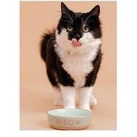 Mason Cash Meow 13 x 4cm Pet Bowl