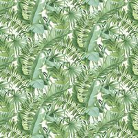 Tropical Leaf Wallpaper Palm Tree White Green A Street Prints Paste Th