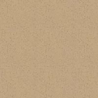 Albany Wallpaper Cork Texture DL26710