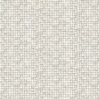 Albany Wallpaper Coconut DL26755