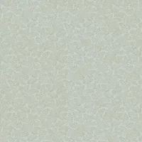 Albany Wallpaper Chrysantha FD27446