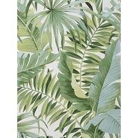 Fine Decor Maui Green Wallpaper FD42850 - Tropical Jungle Foliage Palm Tree Leaf