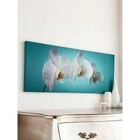 Art for the Home Teal Orchid Floral Printed Canvas