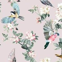 Joules Handford Garden Birds Antique Crème Wallpaper