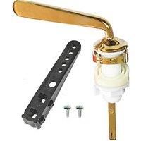 Fluidmaster 22120 W.C. Gold Lever, one Colour