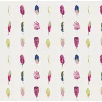 Harlequin Amazilia Limosa wallpaper 111076