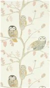 Harlequin Book Of Little Treasures Little Owls Wallpaper