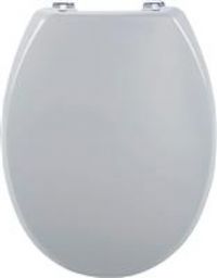 Bemis Buxton Statite Toilet Seat  White