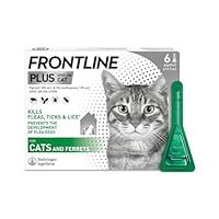 FRONTLINE SPOT ON CAT PLUS Kills Fleas Ticks Lice STOPS Flea Eggs 1, 3 & 6 Pack