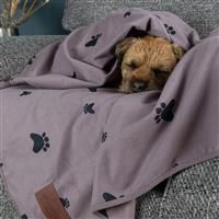 Slumberdown Dog Bed Large Washable - Raised Anti Anxiety Calming Cat/Dog Beds, Orthopaedic Dog Crate Mattress for Medium/Large/XL Pet & Adults - Anti Slip Human Dog Bed, Soft Removable Cover, Burgundy
