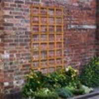 Heavy Duty Trellis  91cm  Pack of 4