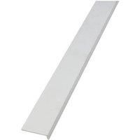 Rothley White Plastic Angle 1000mm x 10mm x 40mm (414JP)