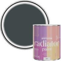 Rust-Oleum Matt Radiator Paint