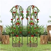 Garden Obelisk