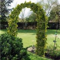 Kingfisher Self Assembly Garden Arch For Climbing Plants & Roses