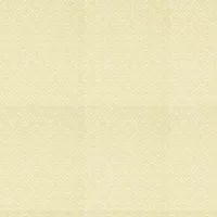 Sanderson Wallpaper Pinjara Trellis 216786