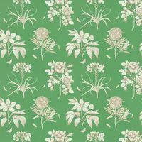 Sanderson Wallpaper Etchings and Roses 216972