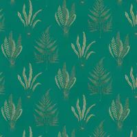 Sanderson Wallpaper Woodland Ferns 216976
