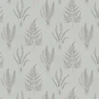 Sanderson Wallpaper Woodland Ferns 216979