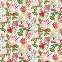 Sanderson Wallpaper King Protea 216987