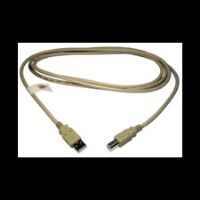 Max Value USB 2.0 Data Cable A Male to B Male, 5 Mtrs, Beige