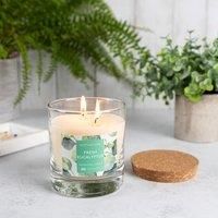 Fresh Eucalyptus Multi Wick Candle