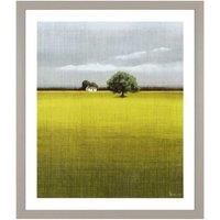 Morning Warmth Framed Print
