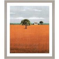 Evening Glow Framed Print