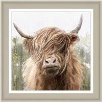 Fergus Framed Print