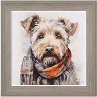 Teddy Framed Print