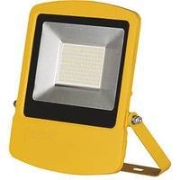Brackenheath LED Floodlight 100W 11,000lm 110V (601PC)
