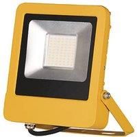 Brackenheath LED Floodlight 50W 5500lm 110V (606PC)