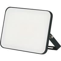 Brackenheath iSpot Frameless II Indoor & Outdoor LED Floodlight Black 30W 3300lm (793TW)