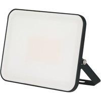 Brackenheath iSpot Frameless II Indoor & Outdoor LED Floodlight Black 50W 5500lm (599TW)