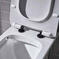 Coastal Black Toilet Seat Hinge Set Lune